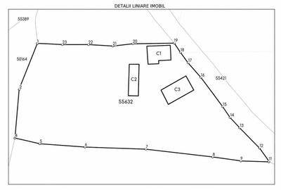 Casă cu 4 camere cu Teren 3135 Mp în Căpușu Mare