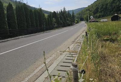 Teren de 5500 mp, în Hurez - 3