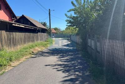 Casă cu 3 camere cu Teren 6299 Mp în Gogoșu - 2