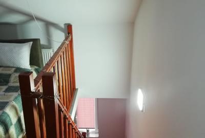 Apartament cu 2 camere semidecomandat, mobilat în Podu Roș - 4