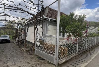 Casă cu 4 camere în Tarna Mare - 1