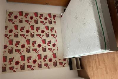 Apartament cu 2 camere nedecomandat în Gării