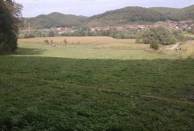 Teren de 5600 mp, în Nord