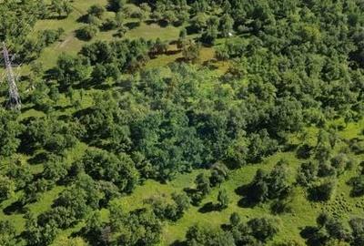 Teren agricol extravilan de 14489 mp, în Exterior Est - 9