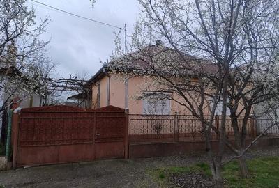 Casă cu 2 camere cu Teren 1172 Mp în Bodrogu Nou