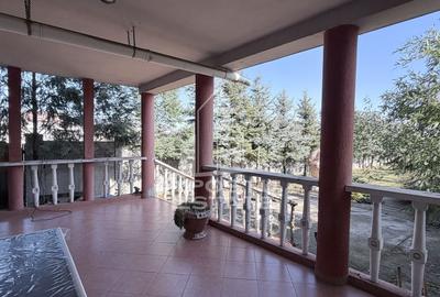 Duplex cu 7 camere cu Canalizare în Săcălaz - 21