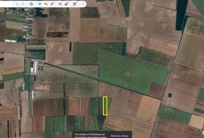 Teren agricol extravilan de 30700 mp, în Afumați