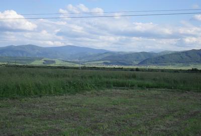 Teren agricol extravilan de 2600 mp, în Cristian - 2