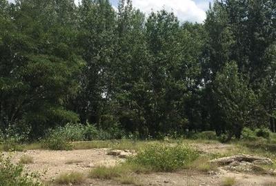 Teren de 500 mp, în Central - 4