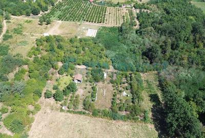 Teren Construcții intravilan de 1200 mp, în Paleu - 1