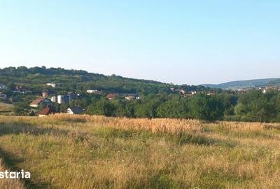 Teren de 800 mp, în Central