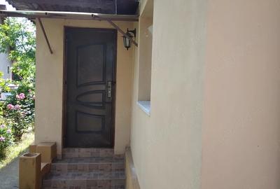 Casă cu 2 camere cu Teren 1530 Mp în Bilciurești - 6