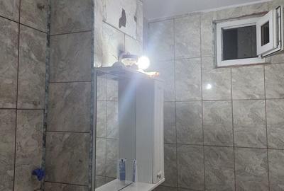 Apartament cu 2 camere în Banat - 2