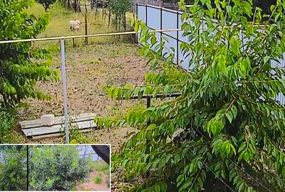 Casă cu 4 camere cu Teren 500 Mp în Central - 1