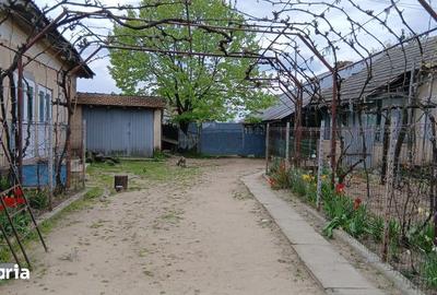 Casă cu 5 camere cu Teren 8481 Mp în Celaru - 6