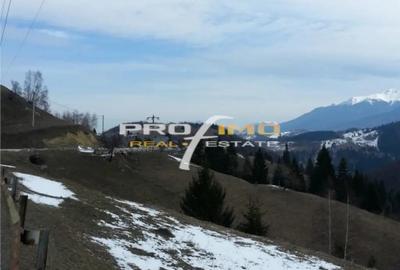 Teren de 3750 mp, în Moieciu - 1