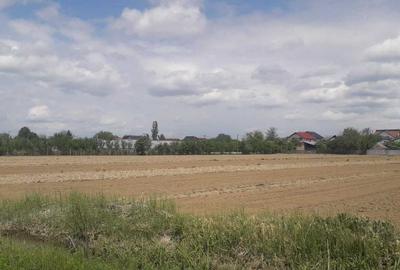 Spațiu comercial, în Mărăcineni - 4