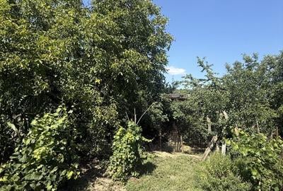 Casă cu 3 camere cu Teren 1100 Mp în Mărgineni