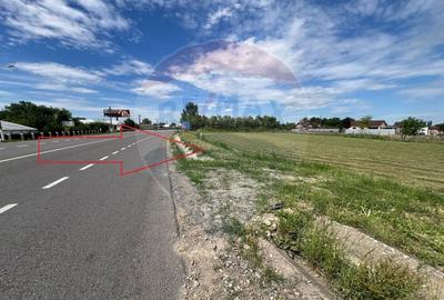 Teren Construcții intravilan de 3492 mp, în Bizighești - 1