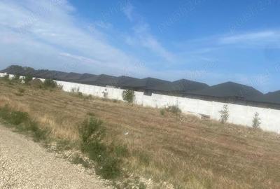 Teren de 665 mp, în Cornetu