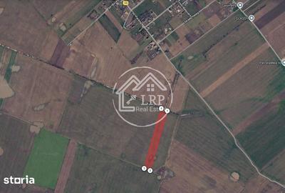 Teren de 20000 mp, în Dascălu