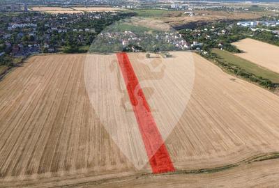 Teren Construcții intravilan de 5034 mp, în Popești-Leordeni - 2