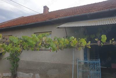 Casă cu 3 camere în Dezești - 7