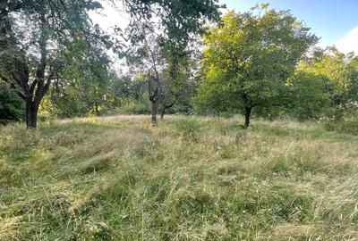 Teren Construcții intravilan de 7287 mp, în Tireu