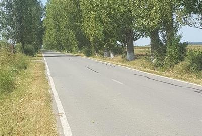 Teren în Siliștea Snagovului - 8