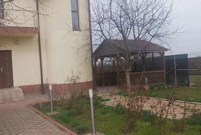 Casă cu Teren 894 Mp în Adunații-Copăceni - 7