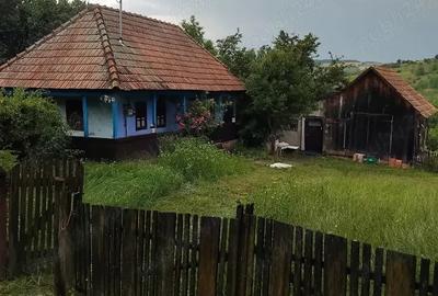 Casă cu 2 camere cu Teren 3300 Mp în Răzoare - 1
