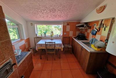 Casă cu 4 camere cu Teren 2000 Mp în Colibași - 3