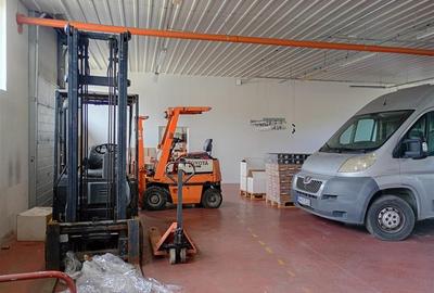Spațiu industrial, de 900 mp, în Tileagd - 14