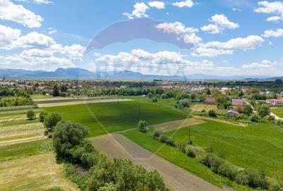 Teren agricol extravilan de 25100 mp, în Prejmer - 7