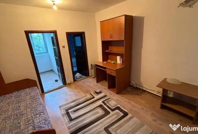 Garsonieră semidecomandată în Valea Rosie