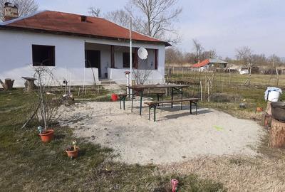 Casă cu Teren 1592 Mp în Schitu