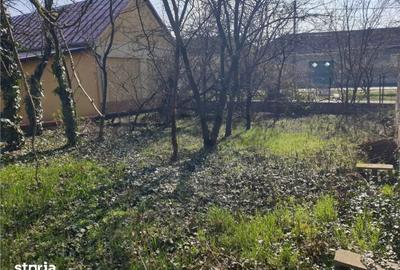 Casă cu 3 camere cu Teren 542 Mp în Borș