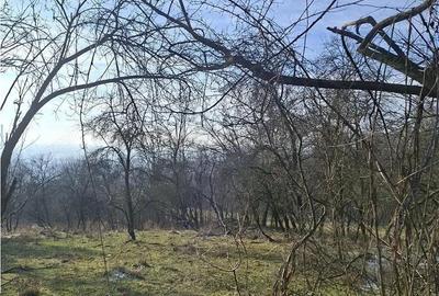 Teren de 2500 mp, în Căzănești