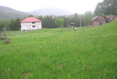 Teren de 4084 mp, în Valea Doftanei - 4