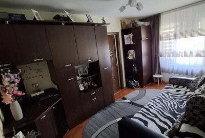 Apartament cu 2 camere semidecomandat în Valea Rosie - 7