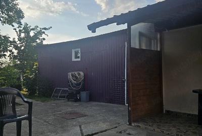 Casă cu Teren 1700 Mp în Grabaț - 4