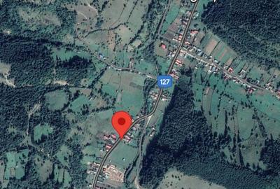 Teren agricol intravilan de 33300 mp, în Tulgheș - 1