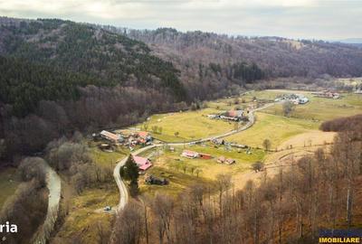 Teren de 5425 mp, în Vama Buzăului - 4