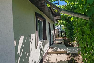Casă cu 4 camere cu Teren 1000 Mp în Gemenele - 4