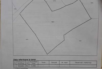 Teren agricol extravilan de 7096 mp, în Ponor - 2