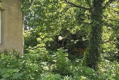 Teren de 1080 mp, în Dumbrăvița