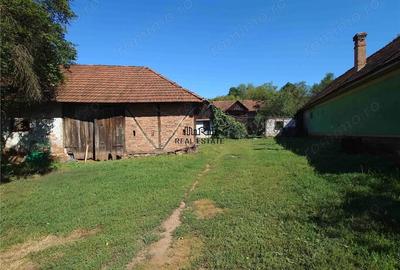Casă cu Teren 9223 Mp în Baia de Criș - 14