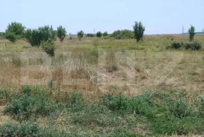 Teren de 500 mp, în Brestei - 3