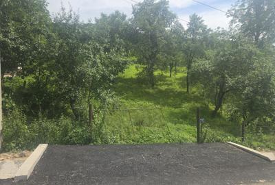 Spațiu comercial, în Deleni - 3