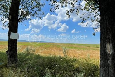 Teren agricol extravilan de 7000 mp, în Miroslava - 3